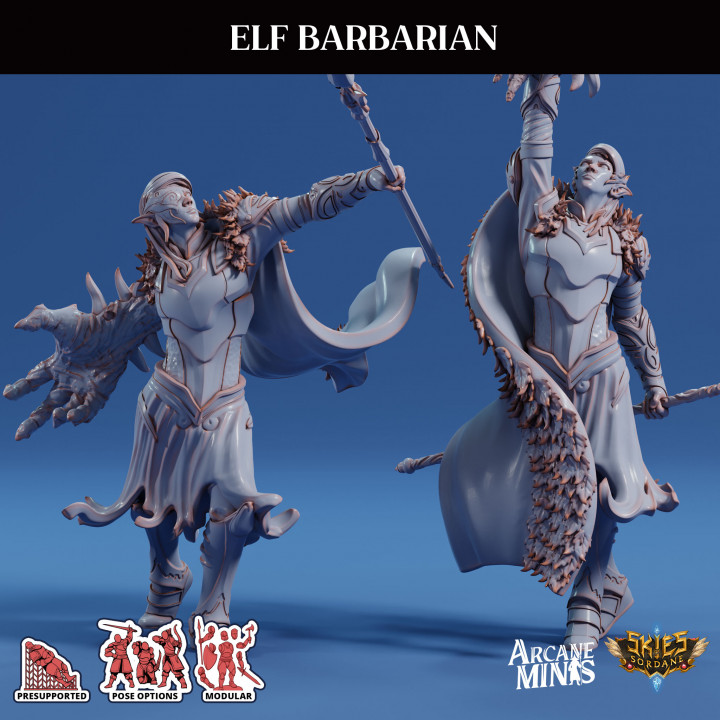 Elf Barbarian image