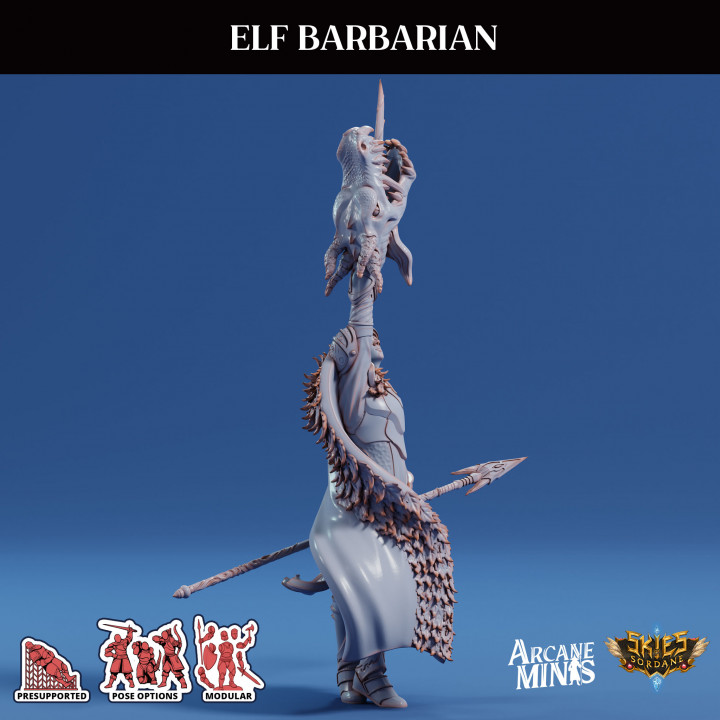 Elf Barbarian image