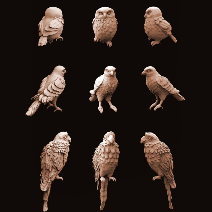 Animal Set 2 - Birds image