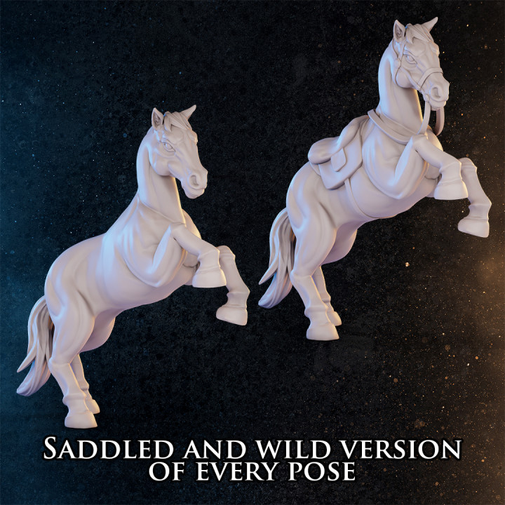 Wild and Saddled Horses image
