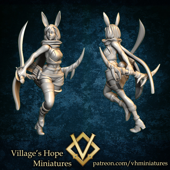 Half rabbit archer / rogue image