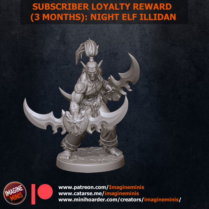 Patron Loyalty Reward 3 Months: Night Elf Hero image