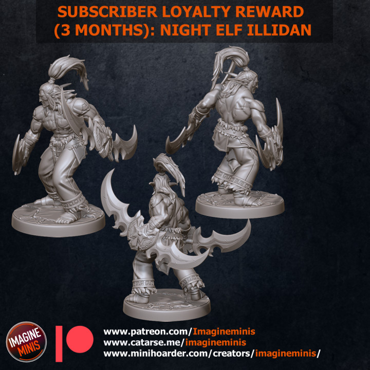Patron Loyalty Reward 3 Months: Night Elf Hero image