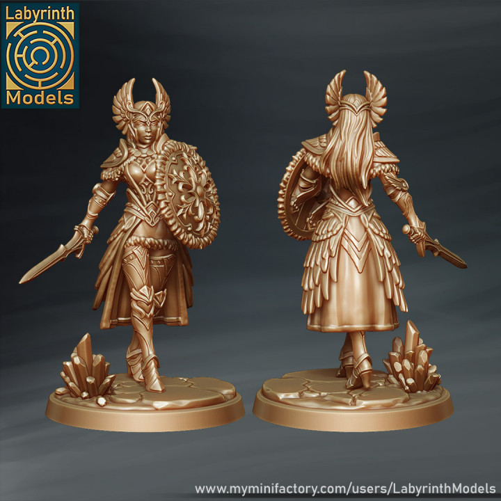 Valkyrie Warriors - 32mm scale image