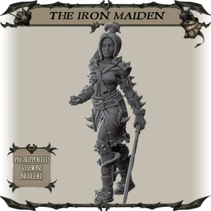 Iron Maiden image