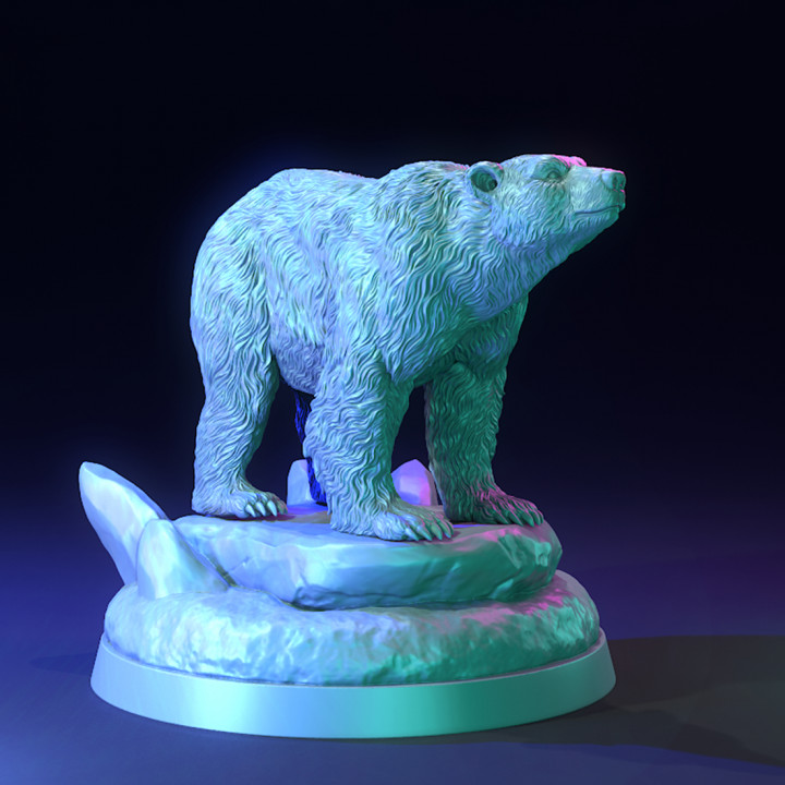 Polar Bear and Arctic Druid - Presupported image