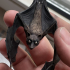 Flying Fox - Fruit Bat print image