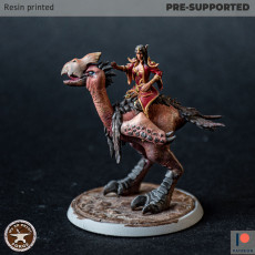 Picture of print of Elf Sorceress Riding a Bird