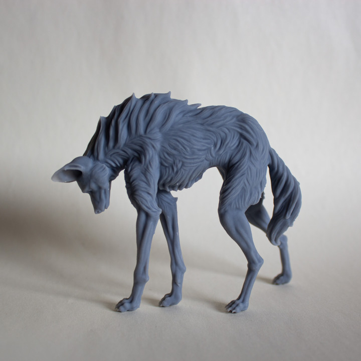 Maned Wolf image