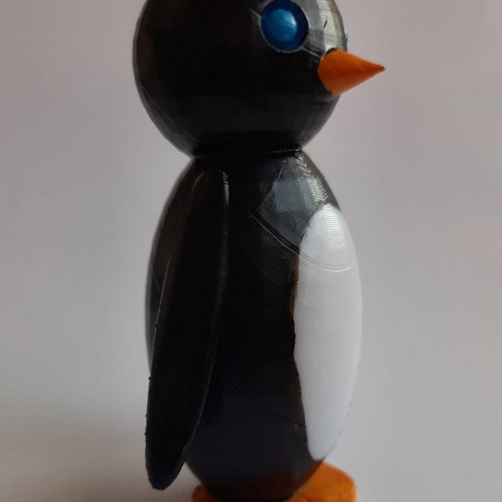 Penguin Laury _ Pingüino image