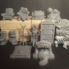 Picture of print of Bookcase Mimic