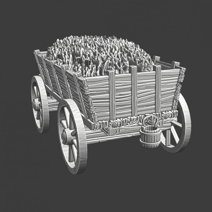 Large Medieval supply wagon with hay image