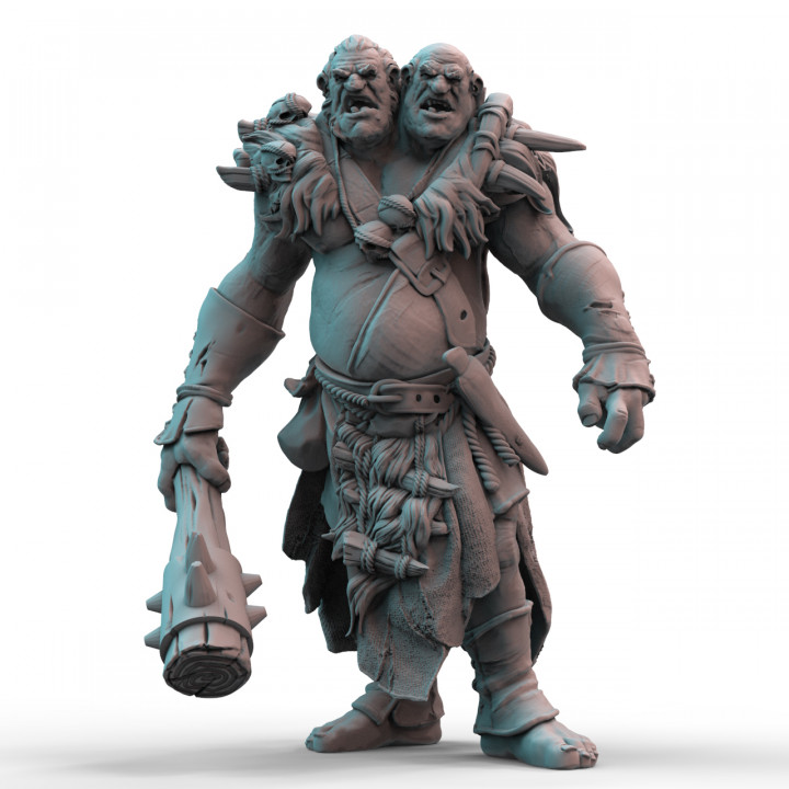 Ettin (pre-supported) image