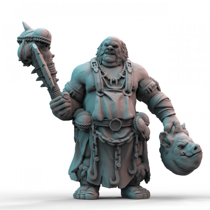 Ogre Butcher (pre-supported) image