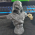 Skeletor Bust print image