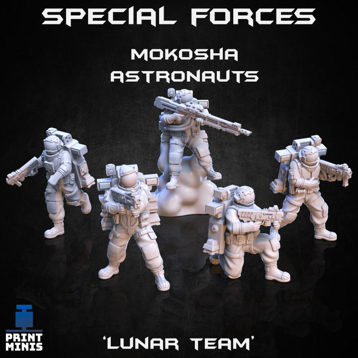 Lunar Team x5 - Mokosha Astronauts - Narok Prison Collection image