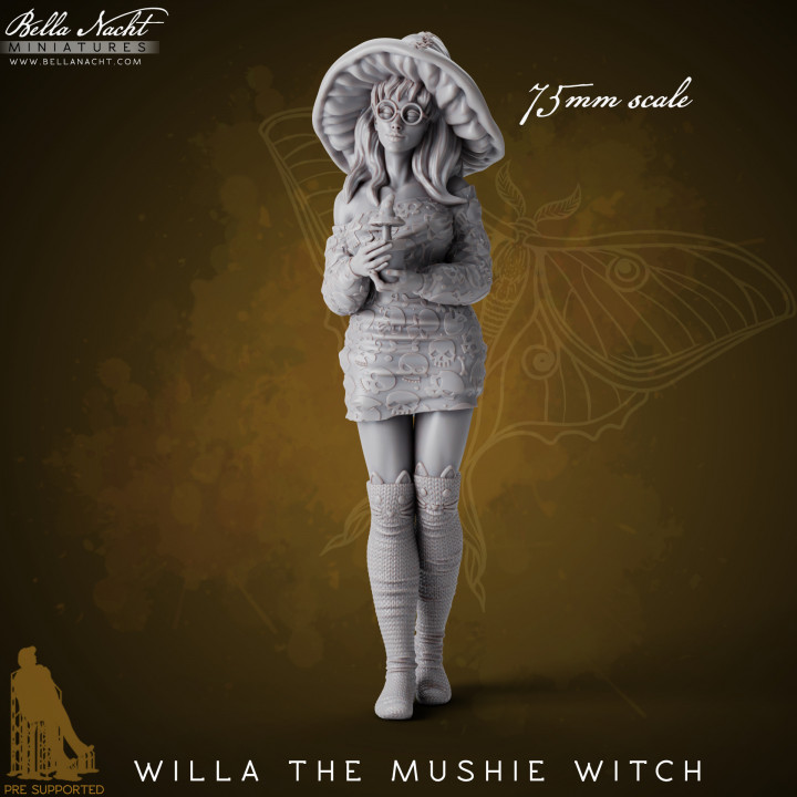 Willa the Witch | Pre Supported | 75mm image