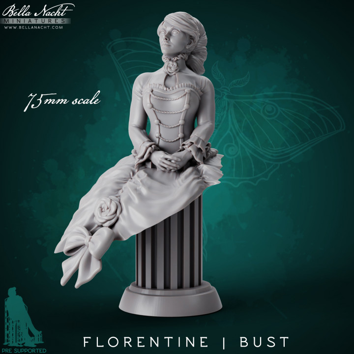 Florentine Bust image