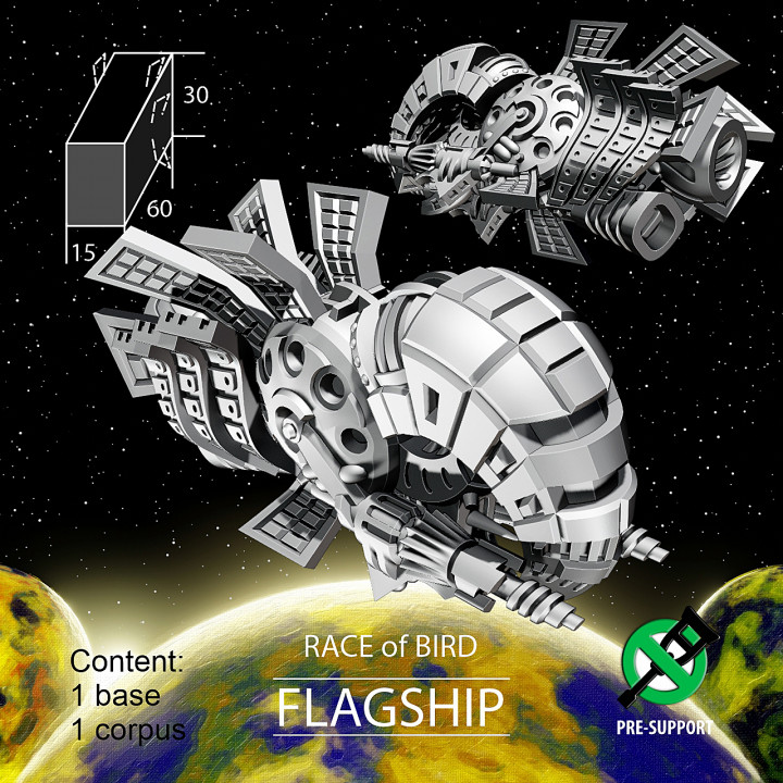 FLAGSHIP for Bird Race image
