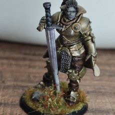 Picture of print of Orc Female Steelwatch Paladin