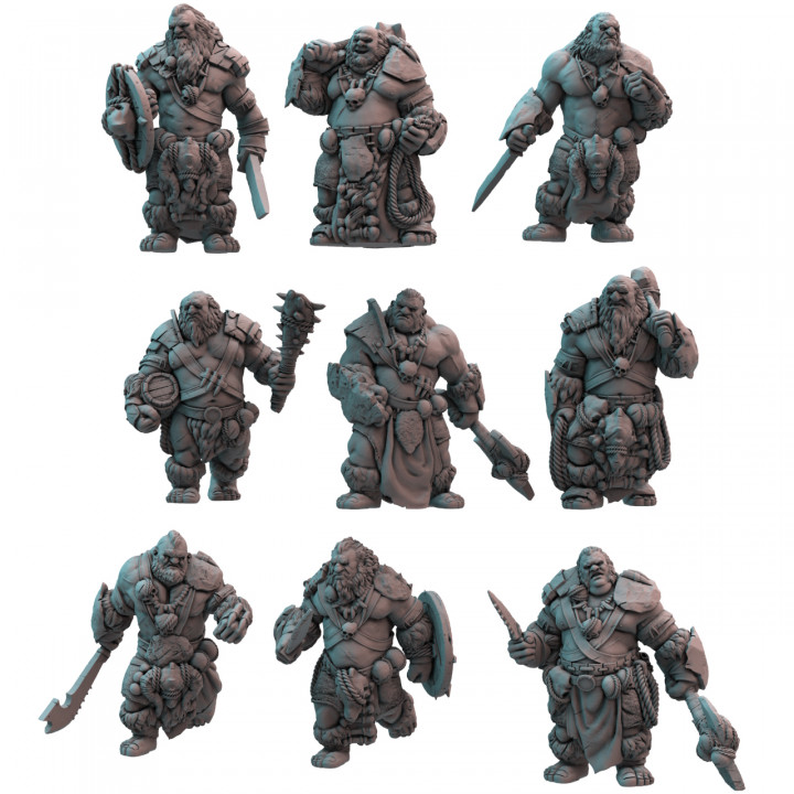 Ogre Unit (pre-supported) image