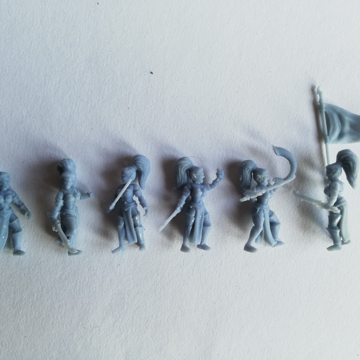 Dark Elf Witch Infantry Miniatures (32mm, modular) image