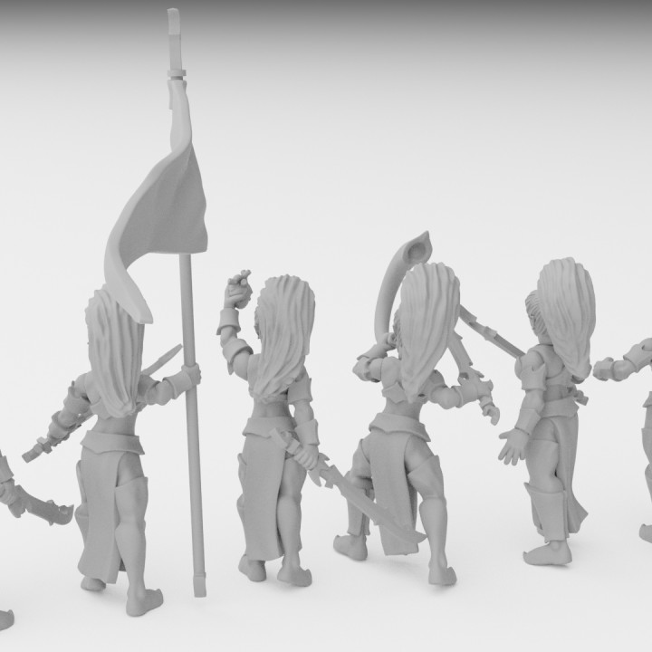 Dark Elf Witch Infantry Miniatures (32mm, modular) image