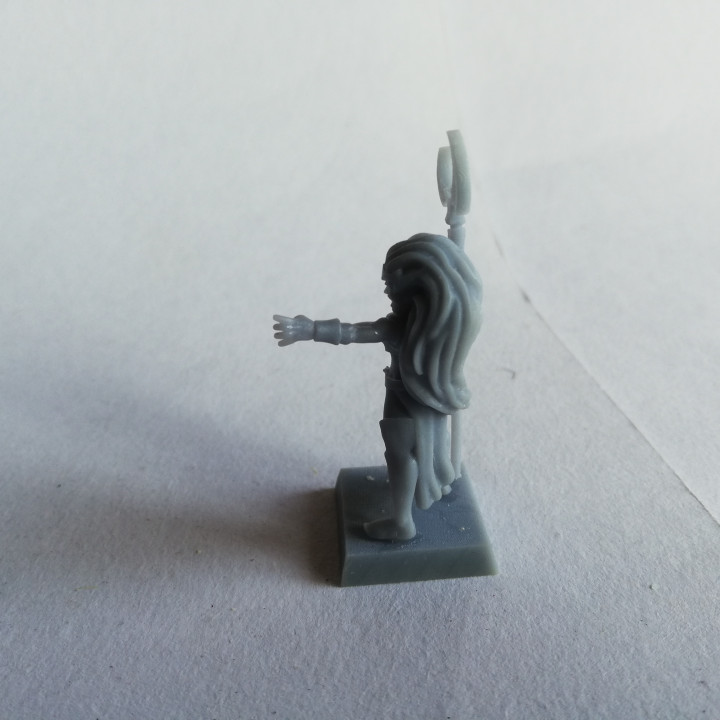 Dark Elf Sorceress Miniature (32mm, modular) image
