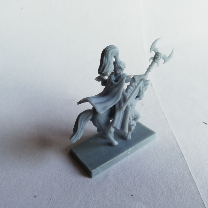 Dark Elf Sorceress on horse Miniature (32mm, modular) image
