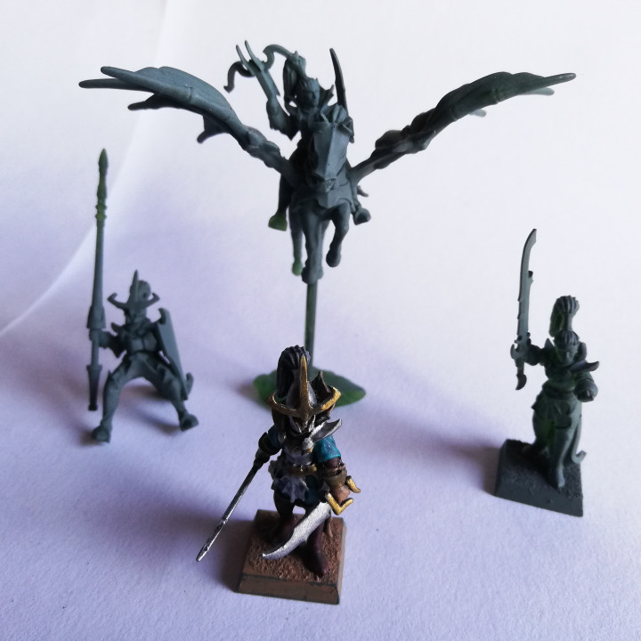 3D Printable Dark Elf Noble Miniature (32mm, modular) by