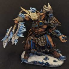 Picture of print of Male Cryomancer´
