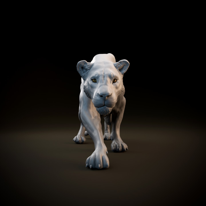 Lioness sneaking - pre supported image