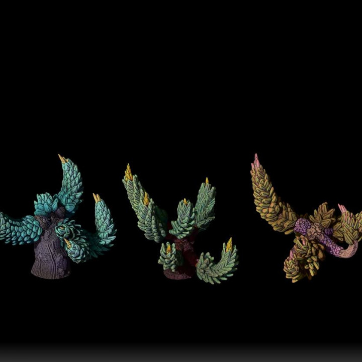 Armadillo Cactus - prehistoric jungle plants image