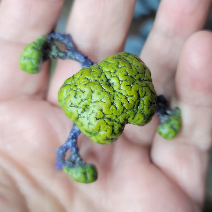 Brain Bush - fantasy and sci-fi plant for tabletop gaming image