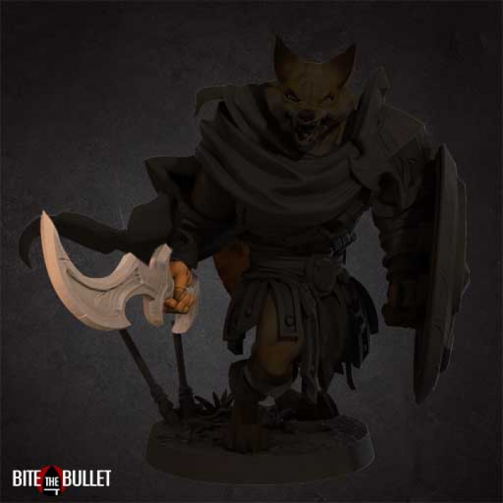 Foxfolk Warrior image