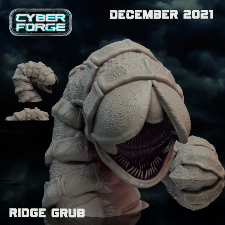 Cyber Forge Land of Sand Ridge Grub image