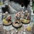 Dwarves of the Saphire Ridges Dwarf Warriors 1 print image