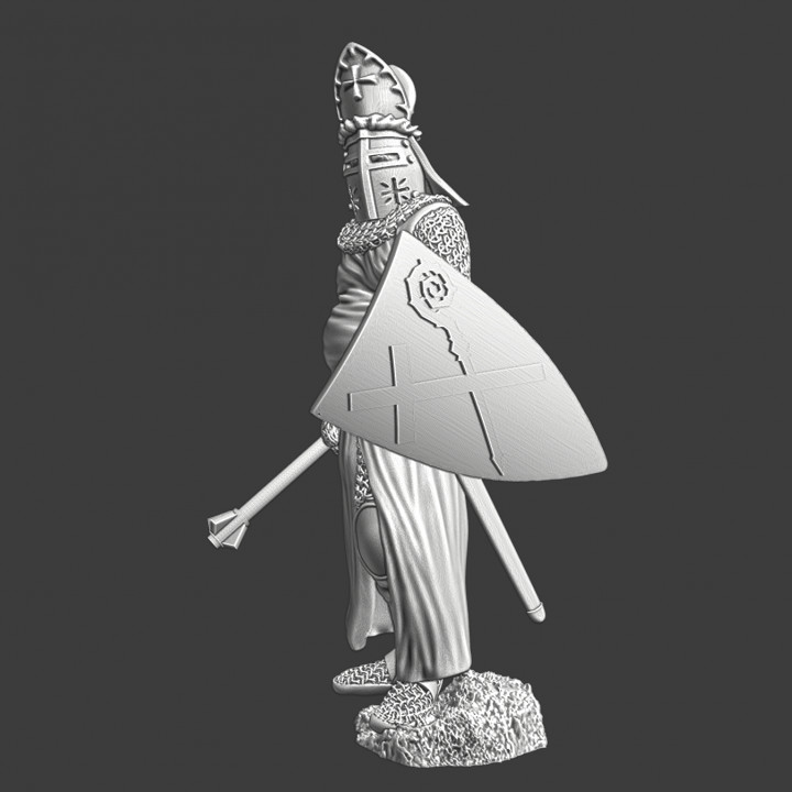 Medieval Bishop of Roskilde - warrior image