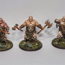 Picture of print of Ogre Warriors