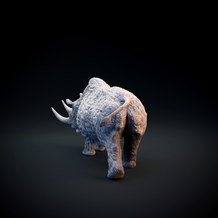 Woolly rhinoceros image