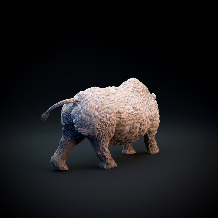 Woolly rhinoceros image