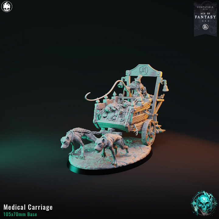 Medical Carriage image