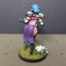 Picture of print of Pointless Armor Elf