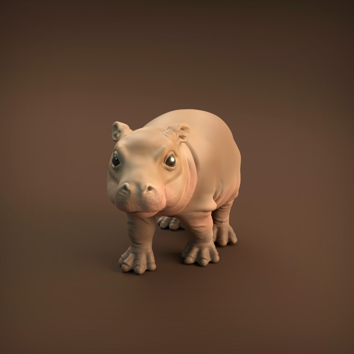 Baby Hippo image