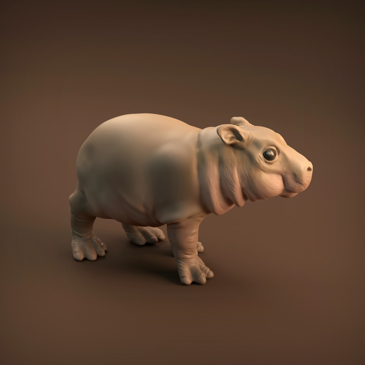 Baby Hippo image