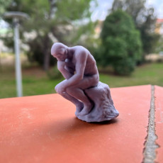 Picture of print of The Thinker (plaster)
