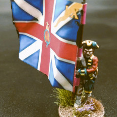 Picture of print of AWI British infantry