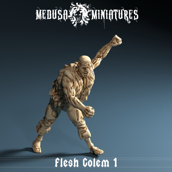 Flesh Golem 1 image