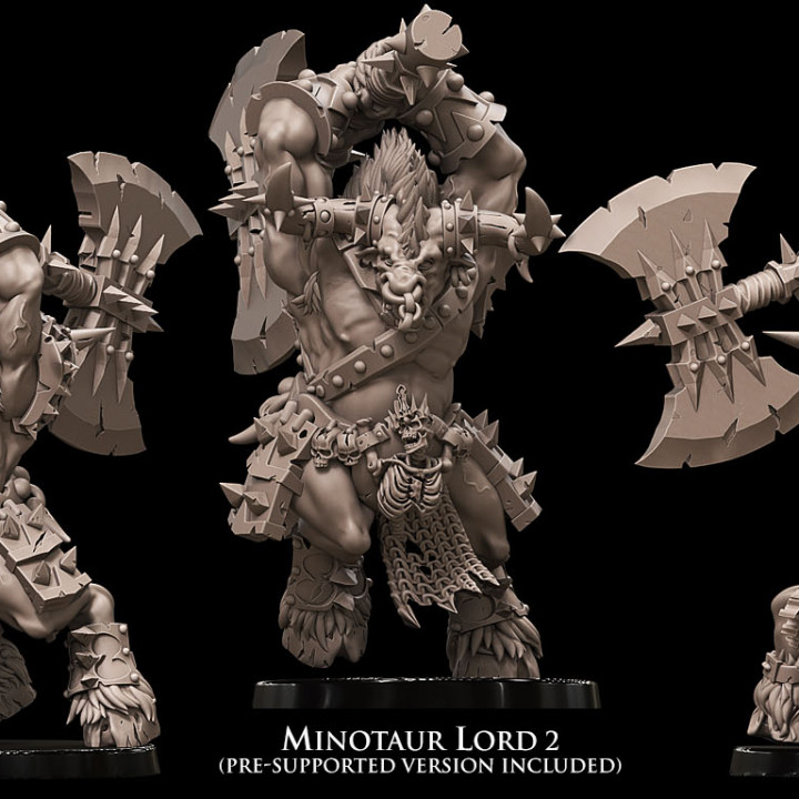 Minotaur Lord image