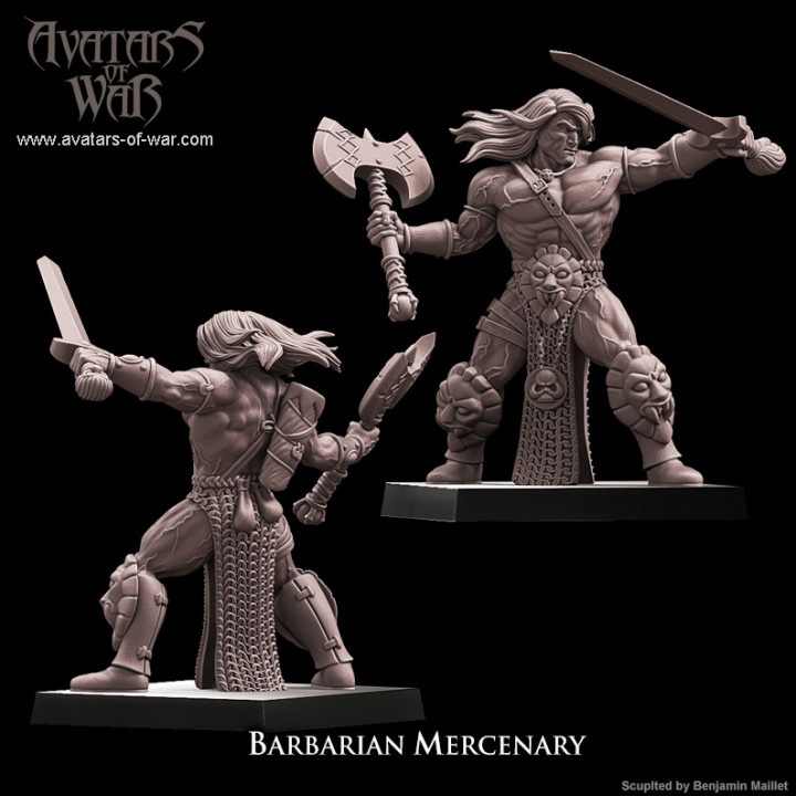 Barbarian Mercenary image